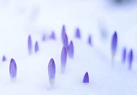 Мартовские выходные